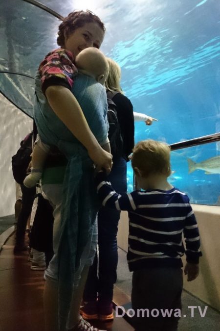 W oceanarium