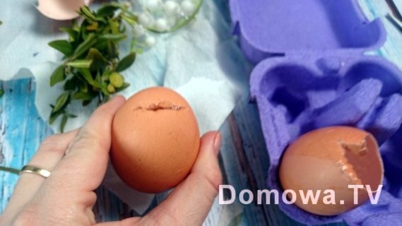 Jajko na wazonik musi mieć ściętą tylko górę, a na doniczkę z ziemią może być przecięte jakby na pół