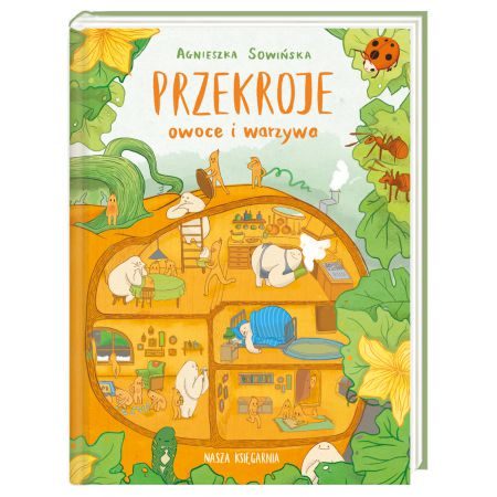 Przekroje