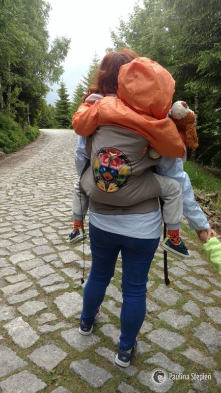Tutaj Tula toddler z dzieckiem prawie 4 letnim na małe przytulanki i coś w stylu: