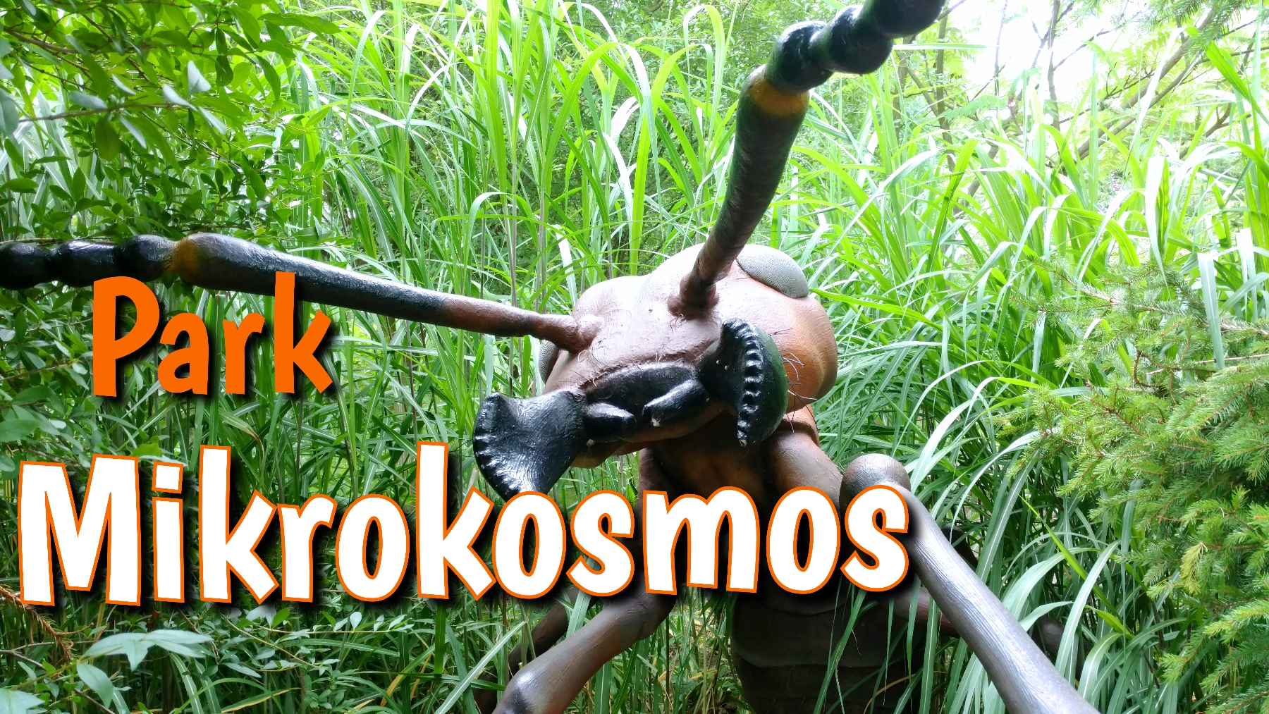 Mikrokosmos, park tematyczny z owadami w wersji maxi