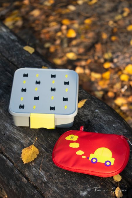 To szare to Little Lunch box