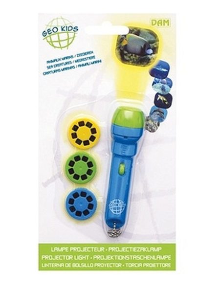 Projektor