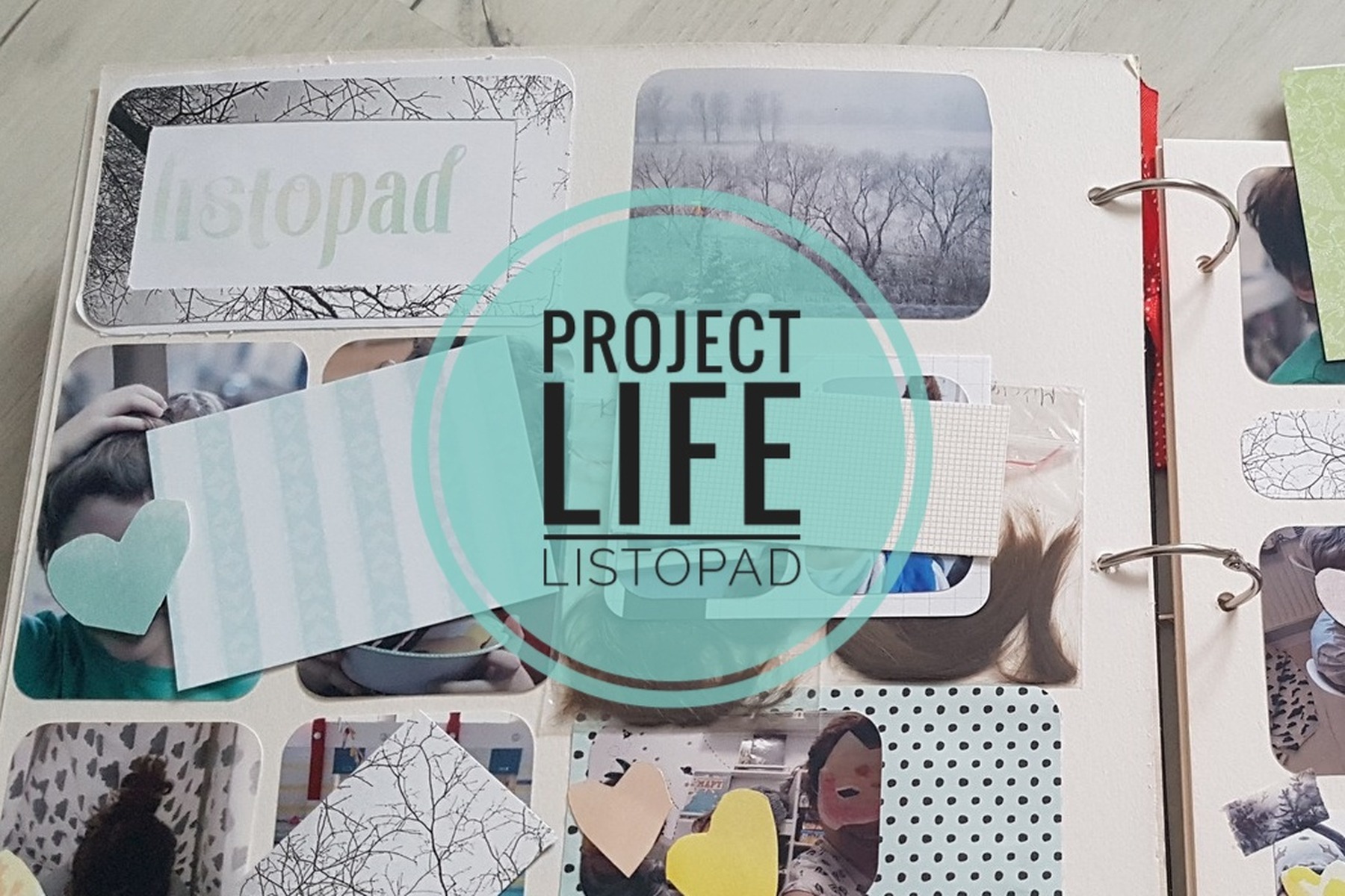 Album Project Life