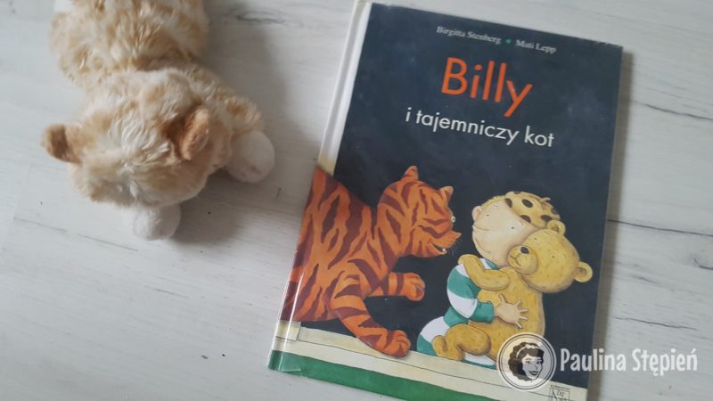 Billy i tajemniczy kot