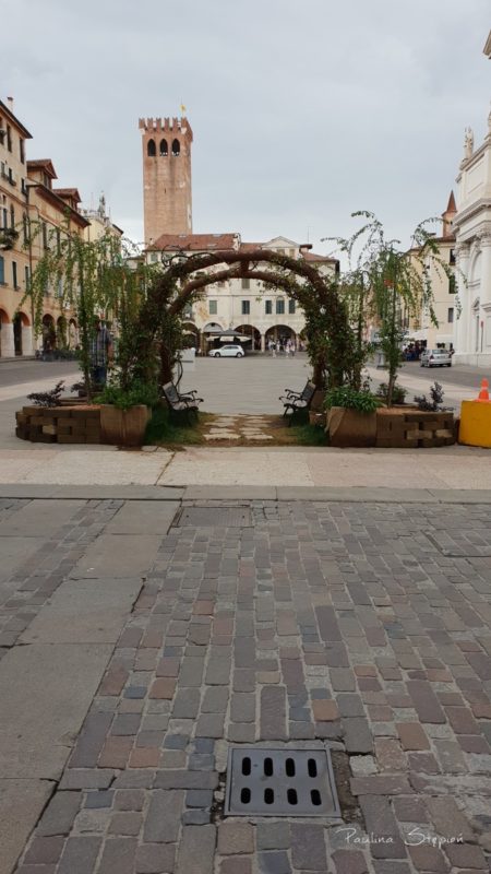 Kilka widoczków