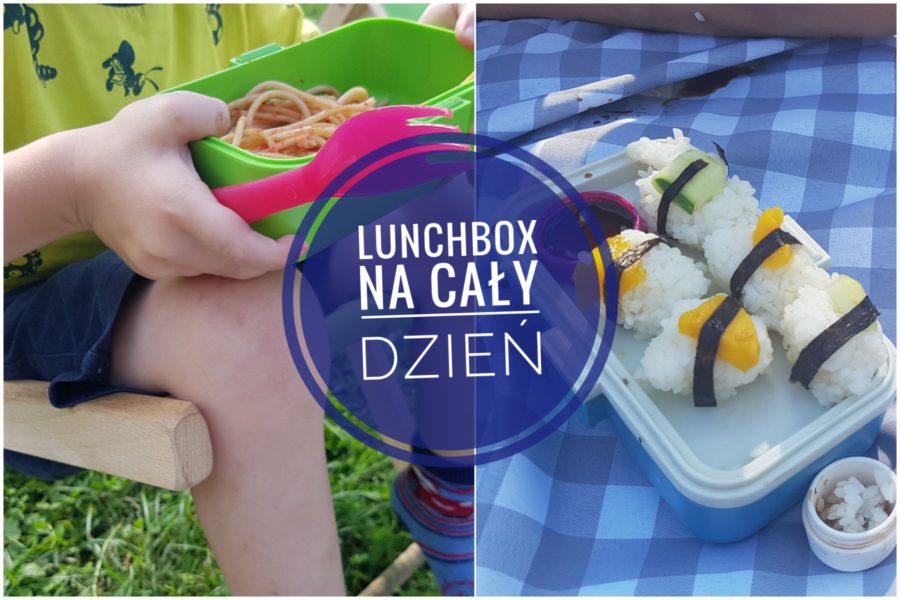 Lunchbox piknik