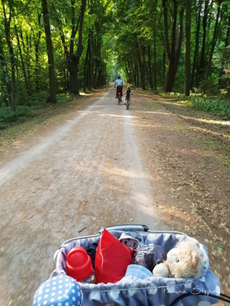 Trasa przez las