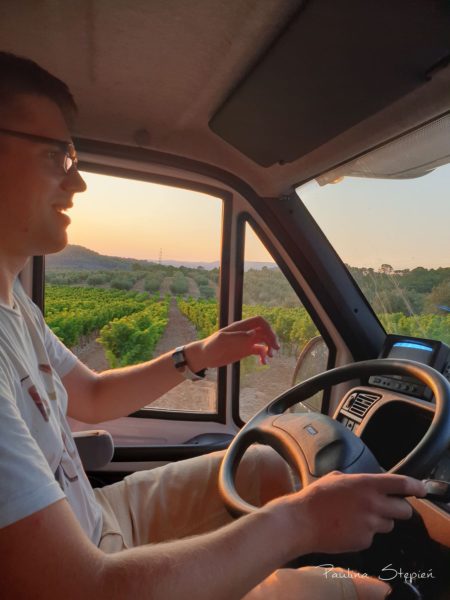 Droga wśród winnic