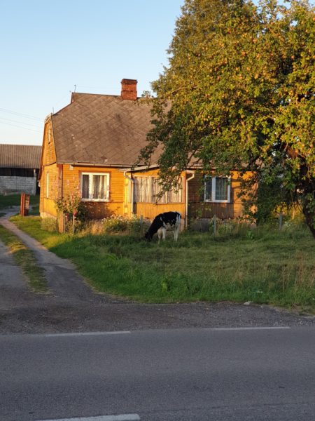 Podslasie